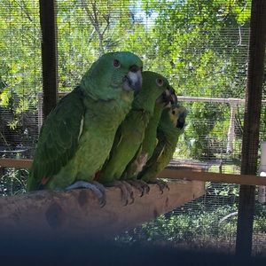 Meet your Posher, Paula